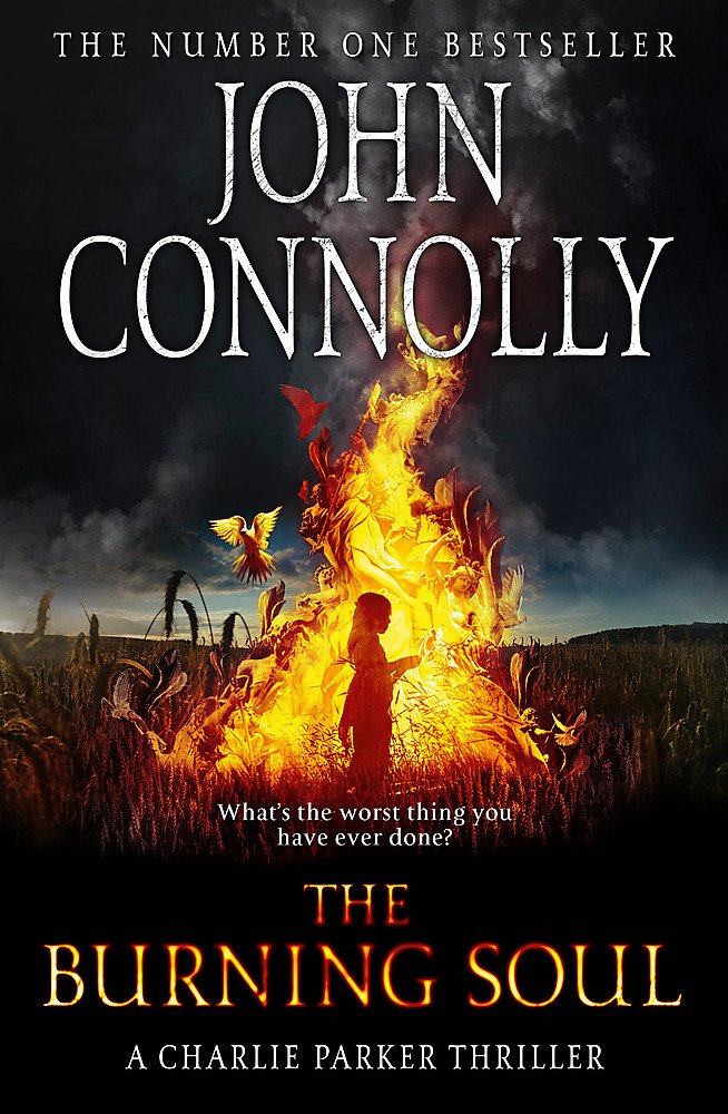 The Burning Soul: A Thriller,Used