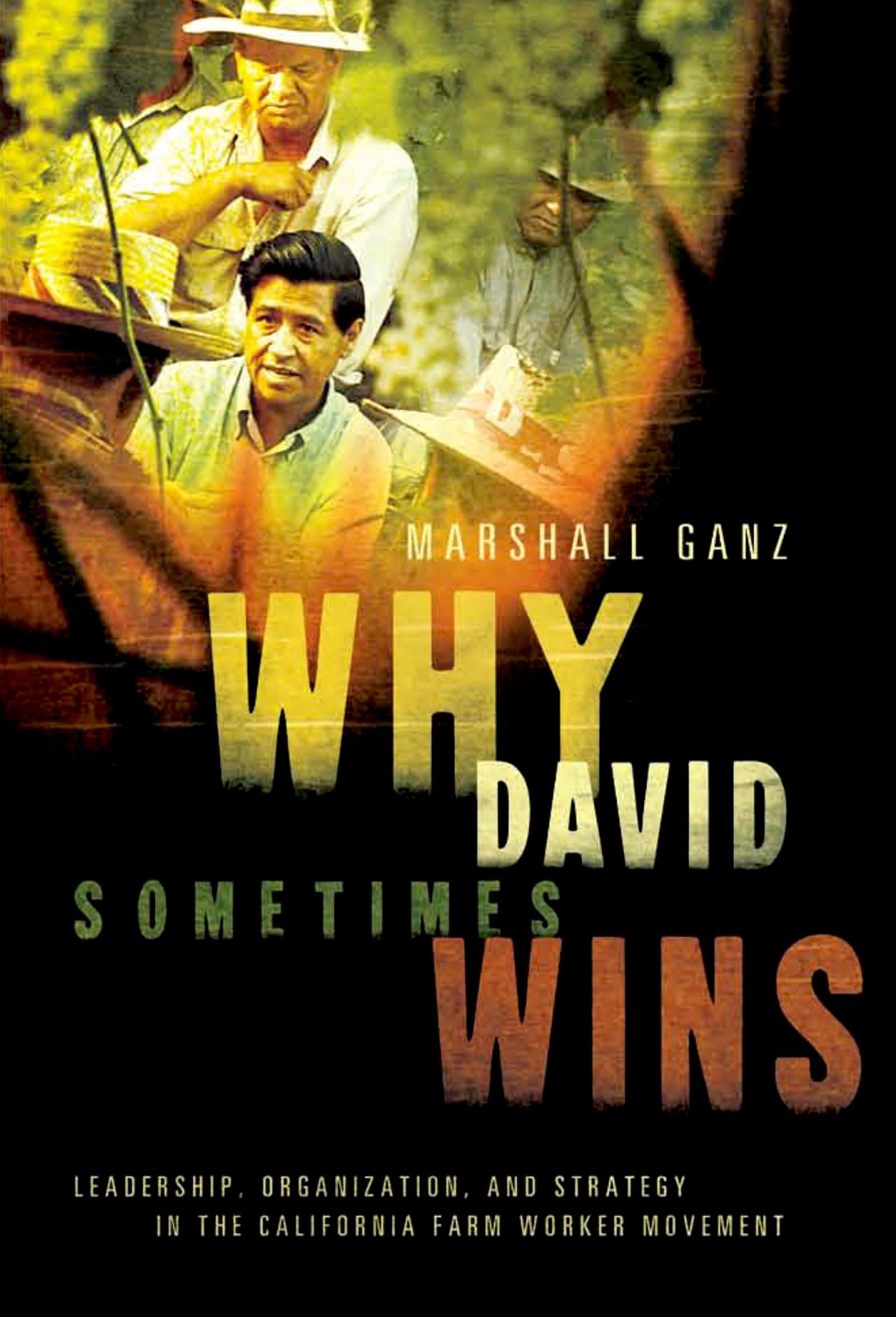 Why David Sometimes Wins: Leadership, Organization, and Strategy in the California Farm Worker Movement,New