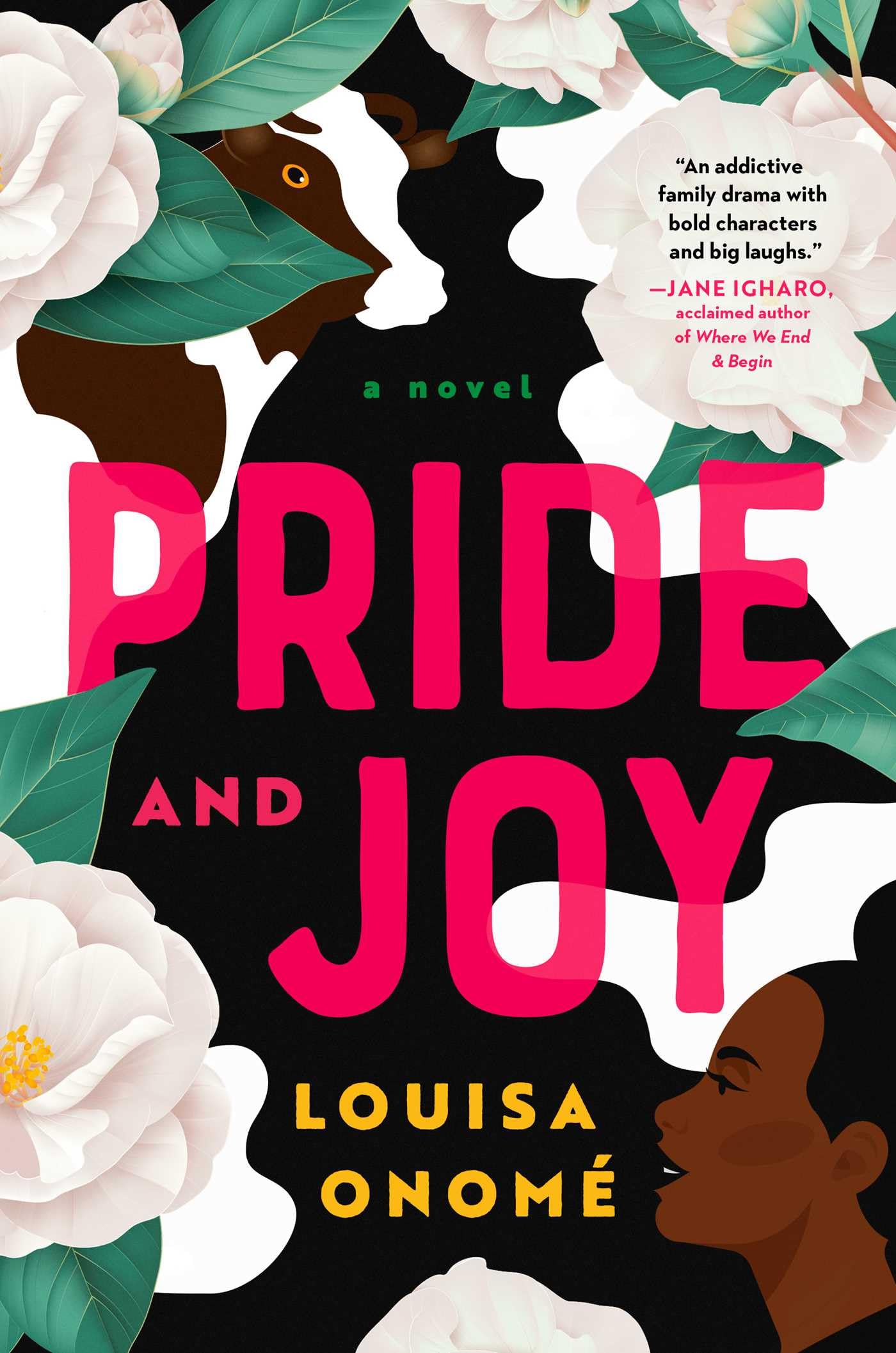 Pride And Joy: A Novel,Used