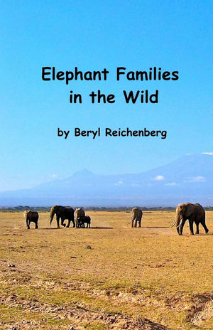 Elephant Families In The Wild: How Do Elephant Families Live In The Wild?,Used