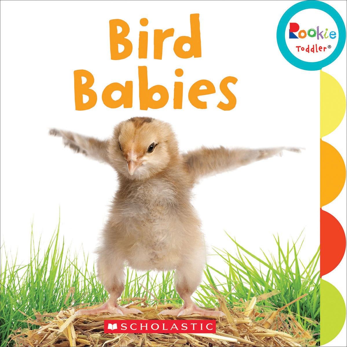 Bird Babies (Rookie Toddler),Used