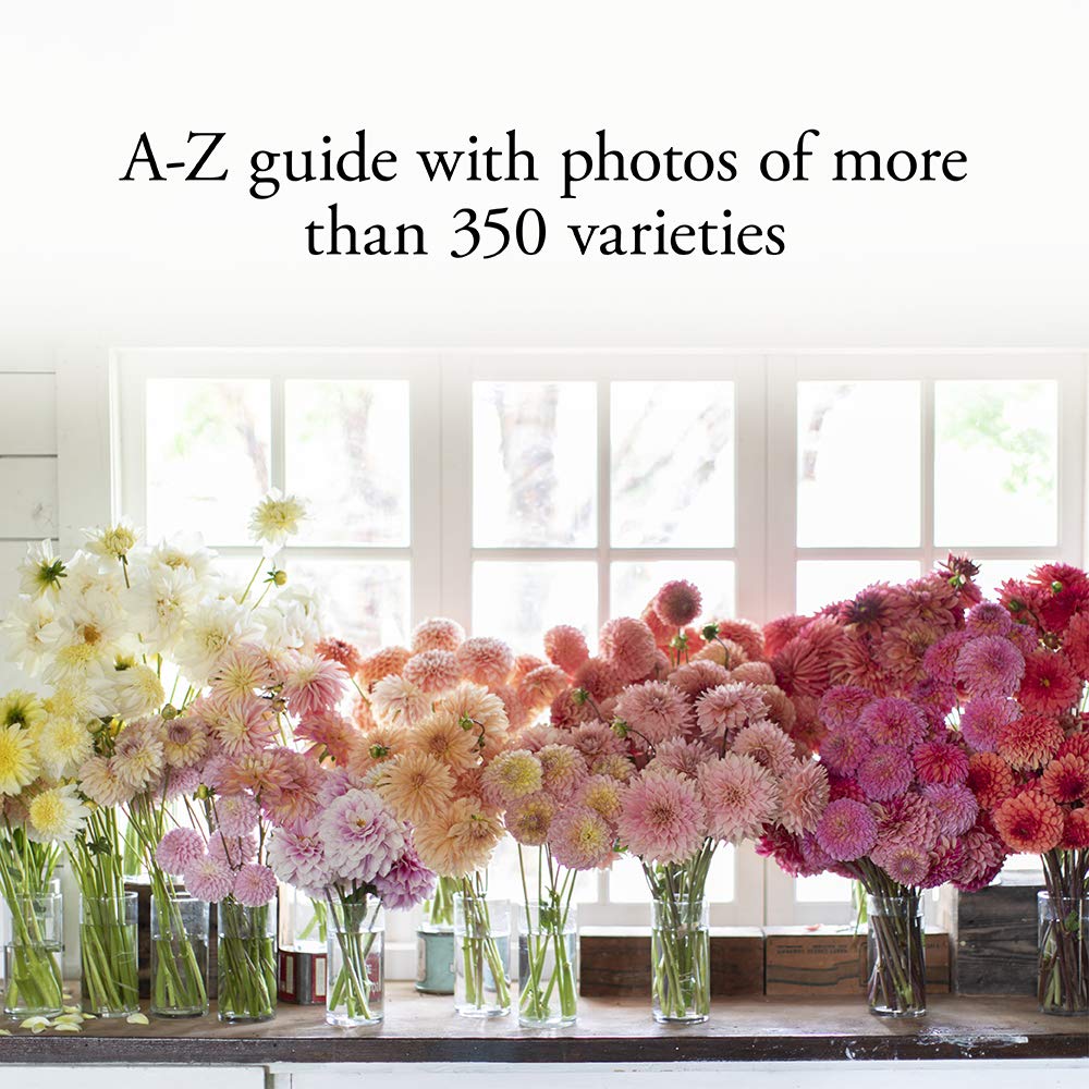 Floret Farm's Discovering Dahlias: A Guide to Growing and Arranging Magnificent Blooms (Floret Farms x Chronicle Books),New