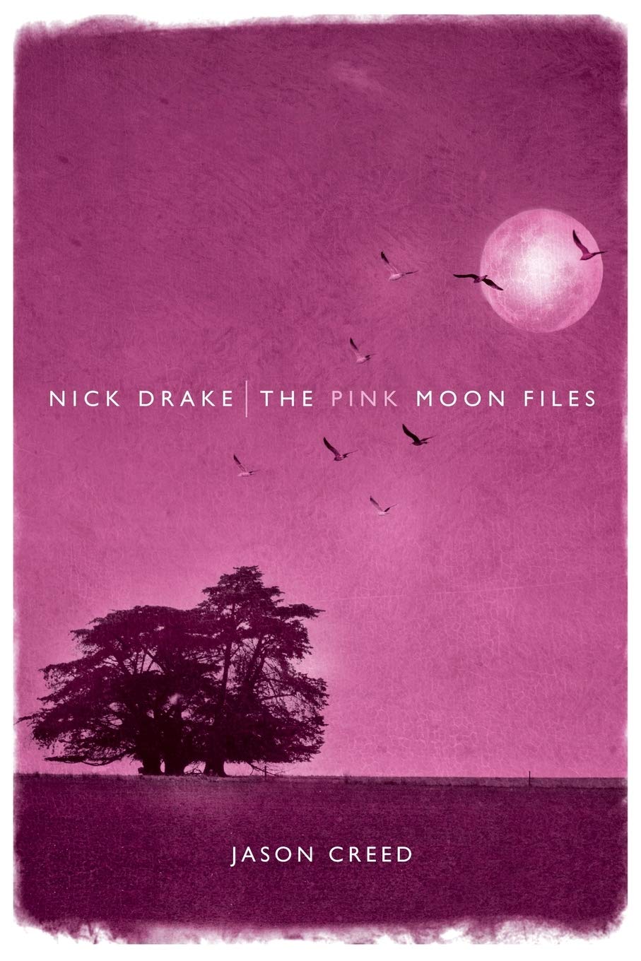 Nick Drake: The Pink Moon Files,New