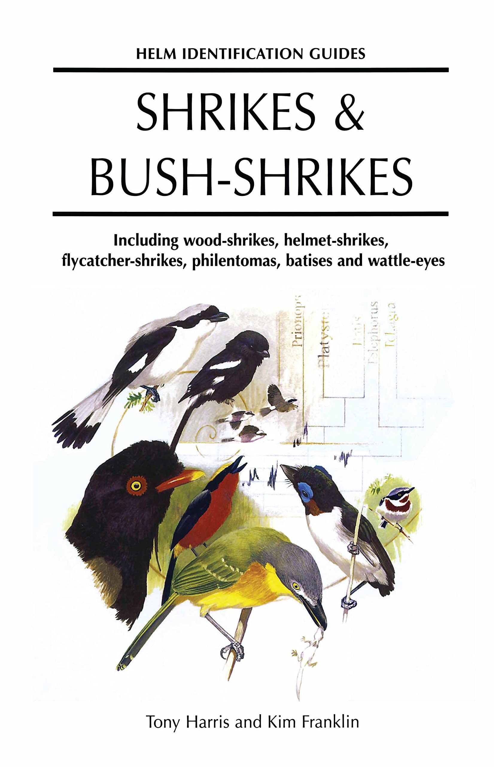 Helm Identification Guides: Shrikes and Bushshrikes: Including Woodshrikes, Helmetshrikes, Shrike Flycatchers, Philentoemas,