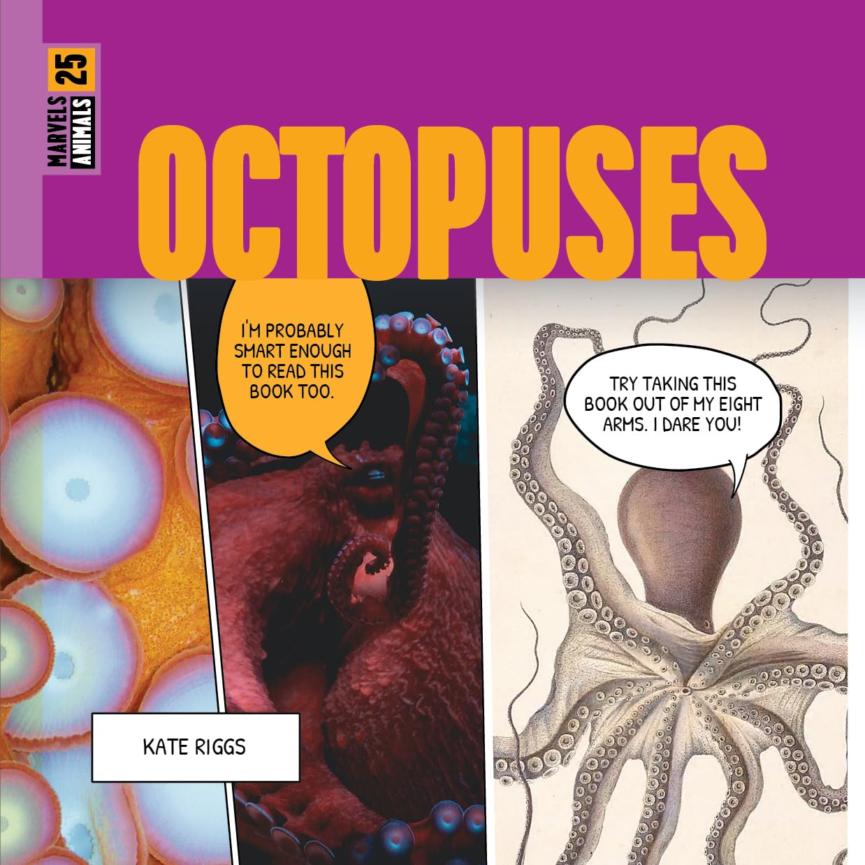 OCTOPUSES