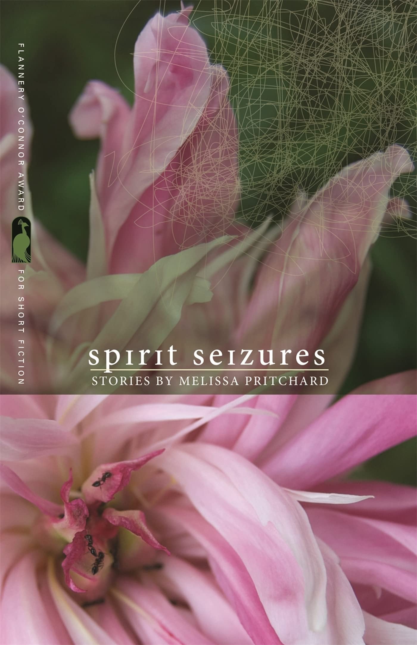 Spirit Seizures: Stories,Used