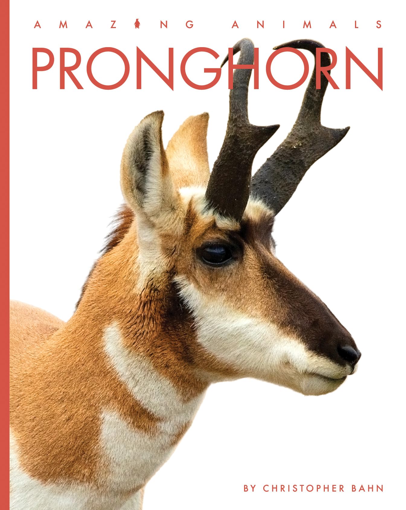 PRONGHORN