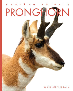 PRONGHORN