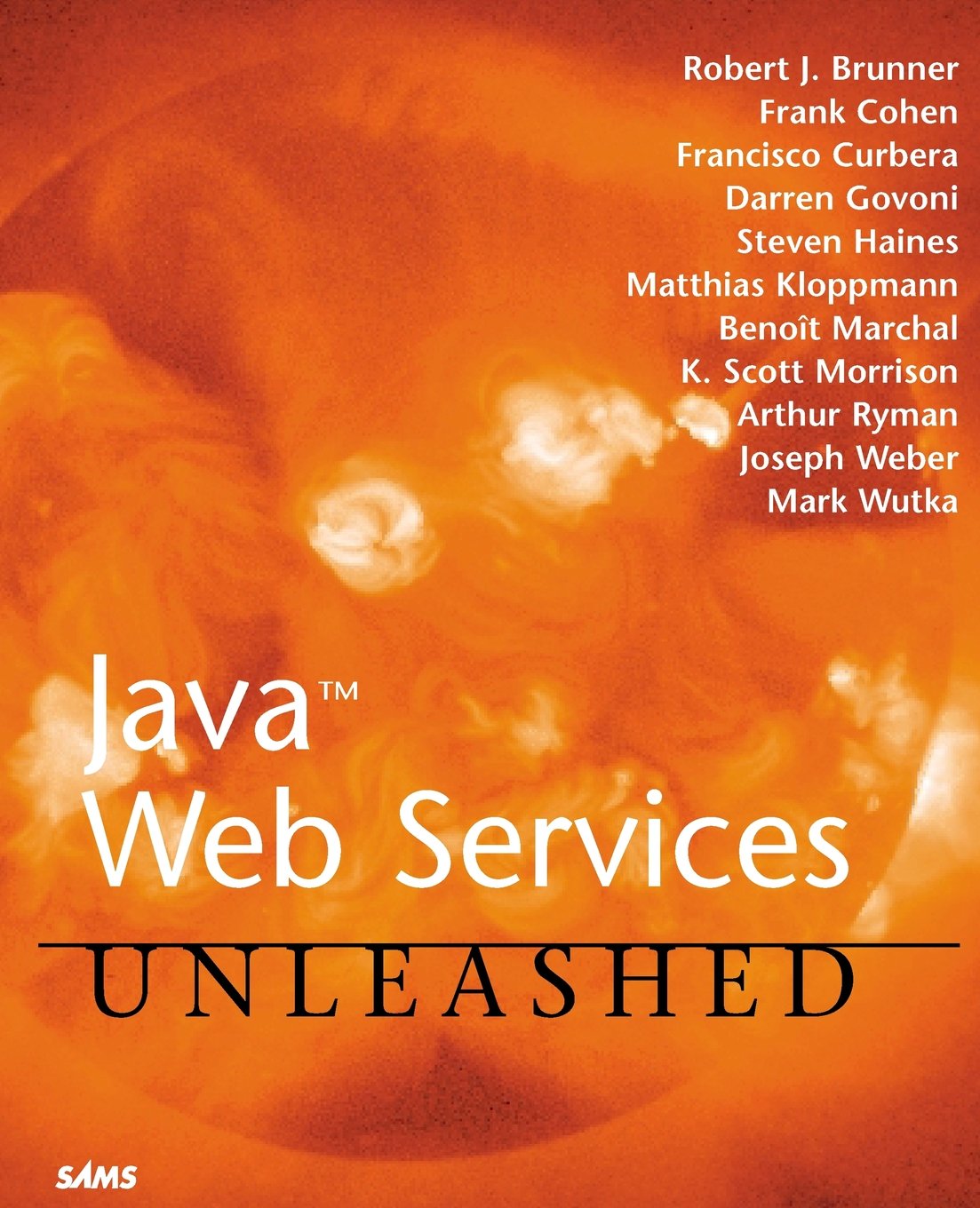 Java Web Services Unleashed,Used