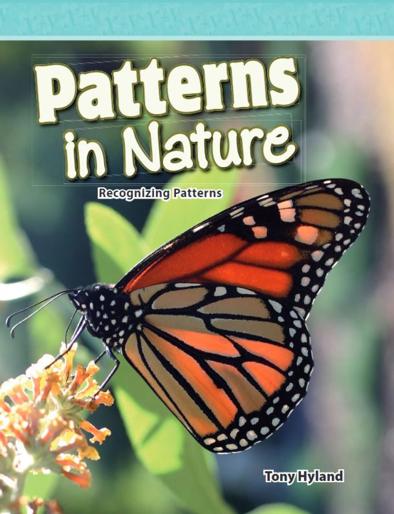 Patterns In Nature: Level 4 (Mathematics Readers),New