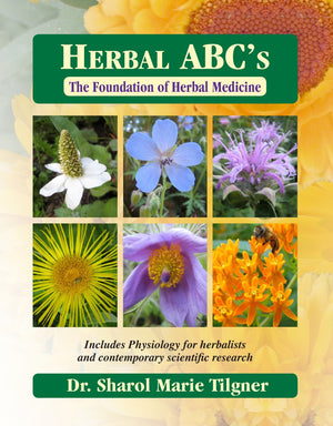 Herbal Abc'S The Foundation Of Herbal Medicine