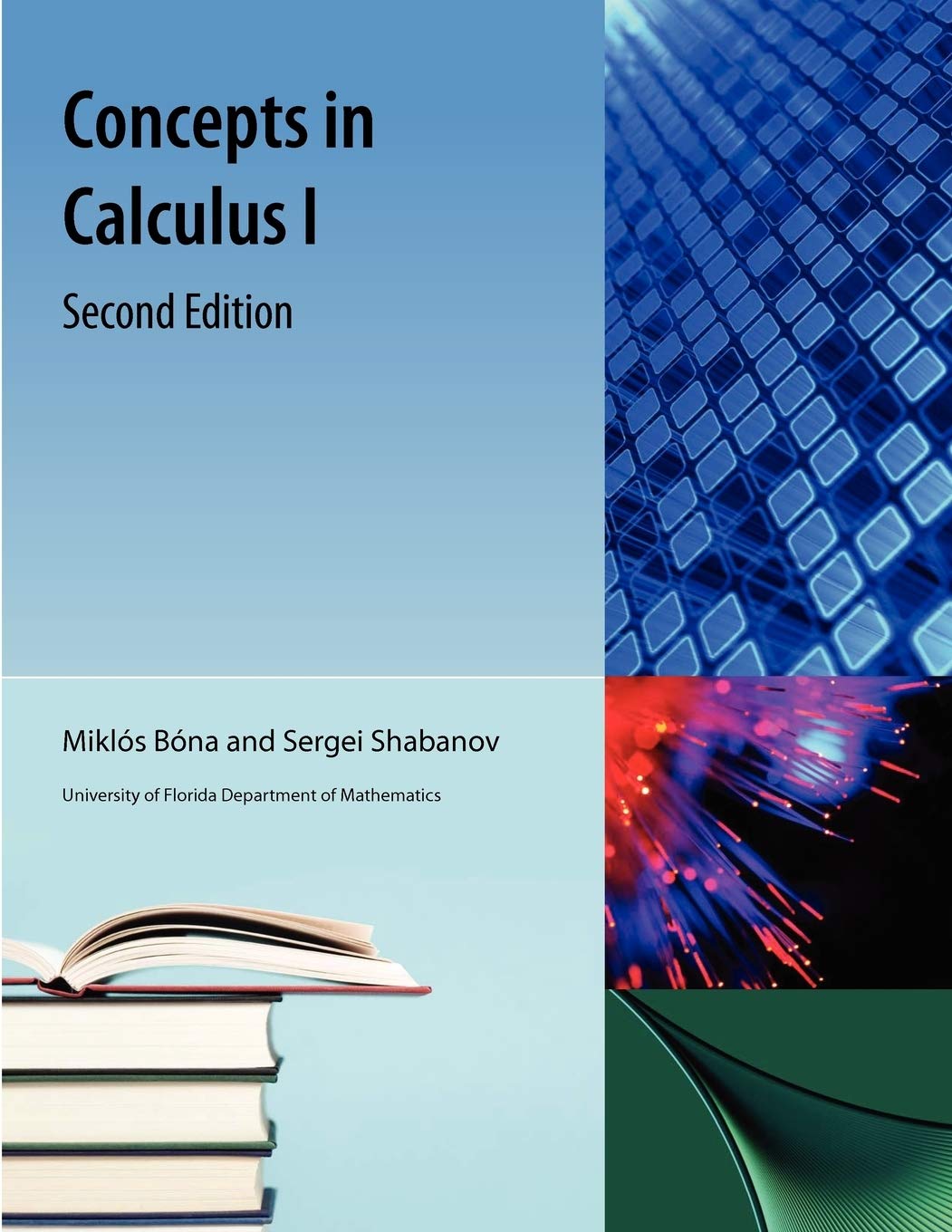 Concepts In Calculus I,Used