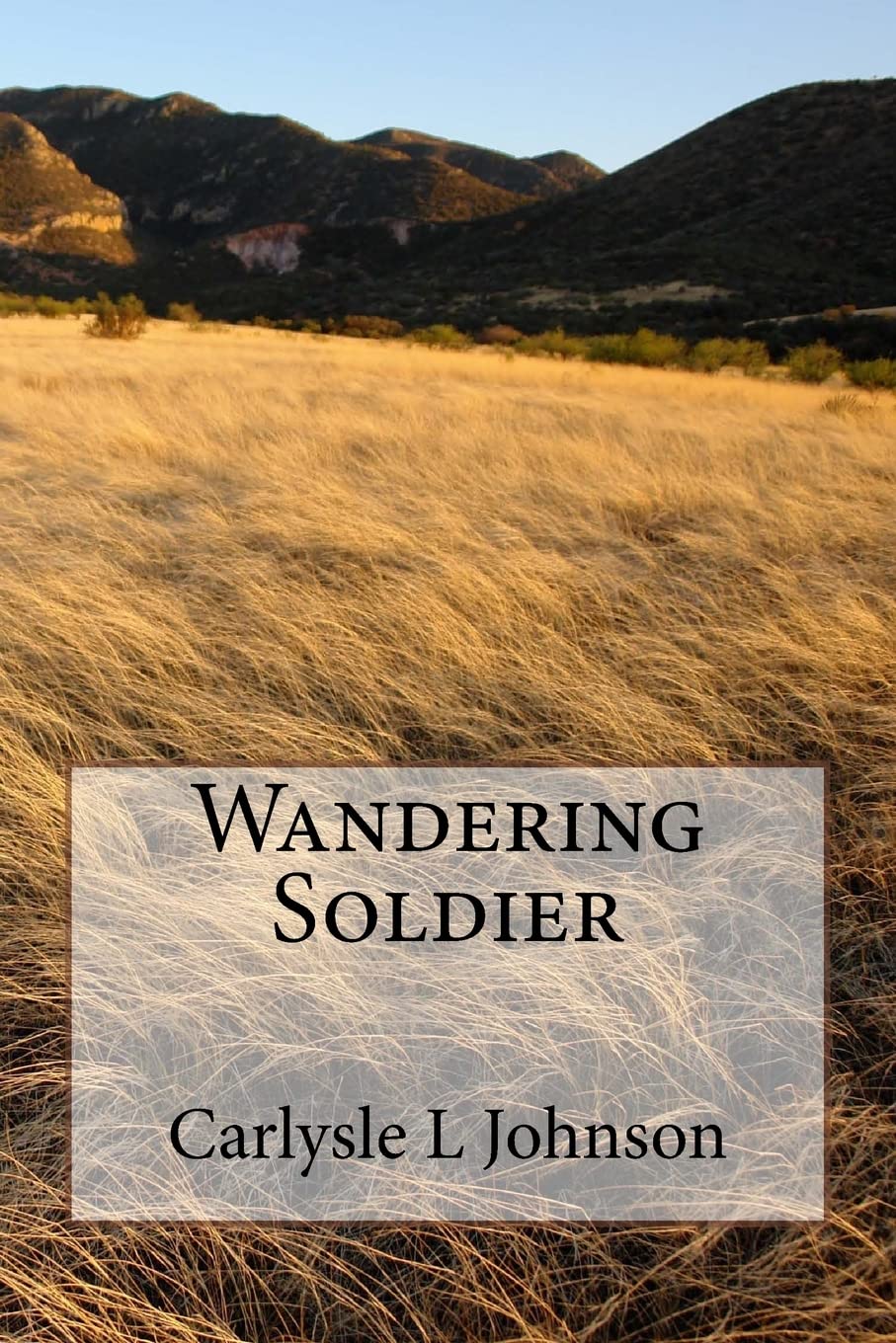 Wandering Soldier (The Napoleon Wars Saga),Used