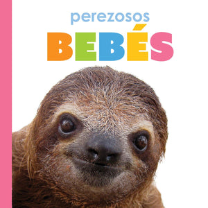 Perezosos Bebs (Spanish Edition)