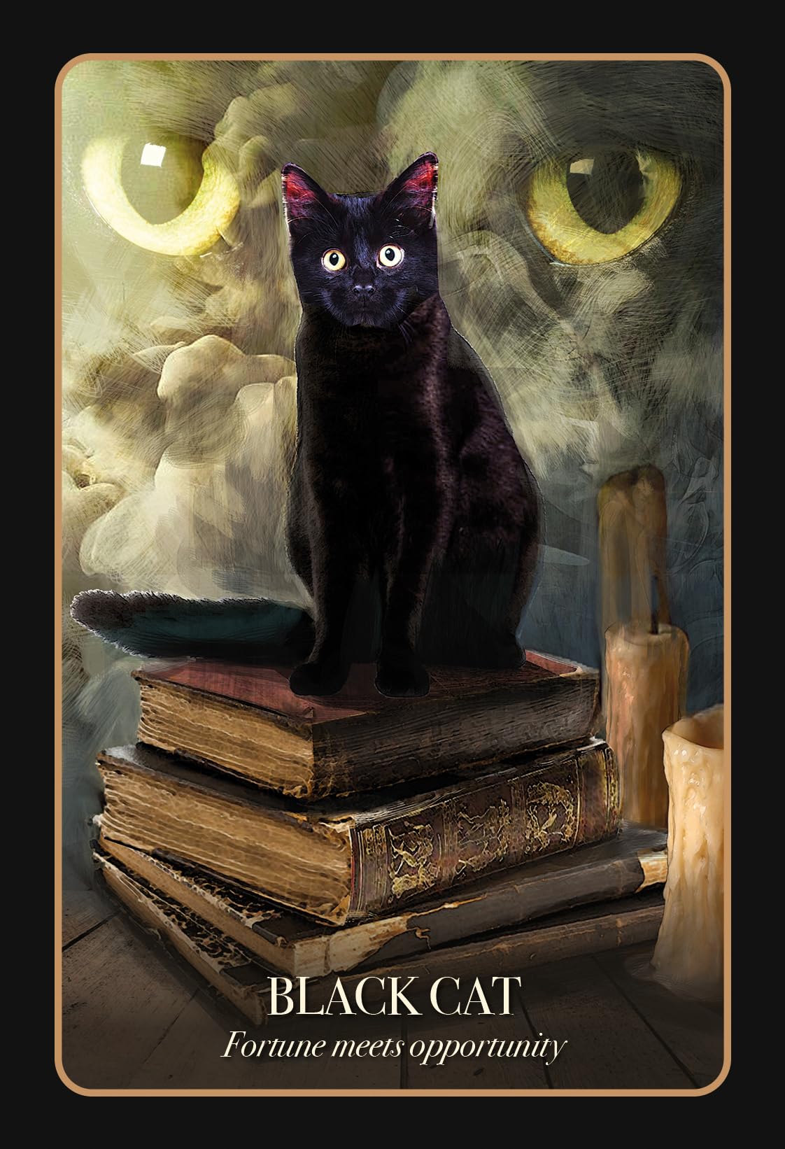 The Halloween Oracle: Lifting the Veil between the Worlds Every Night,Used