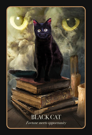 The Halloween Oracle: Lifting the Veil between the Worlds Every Night,Used