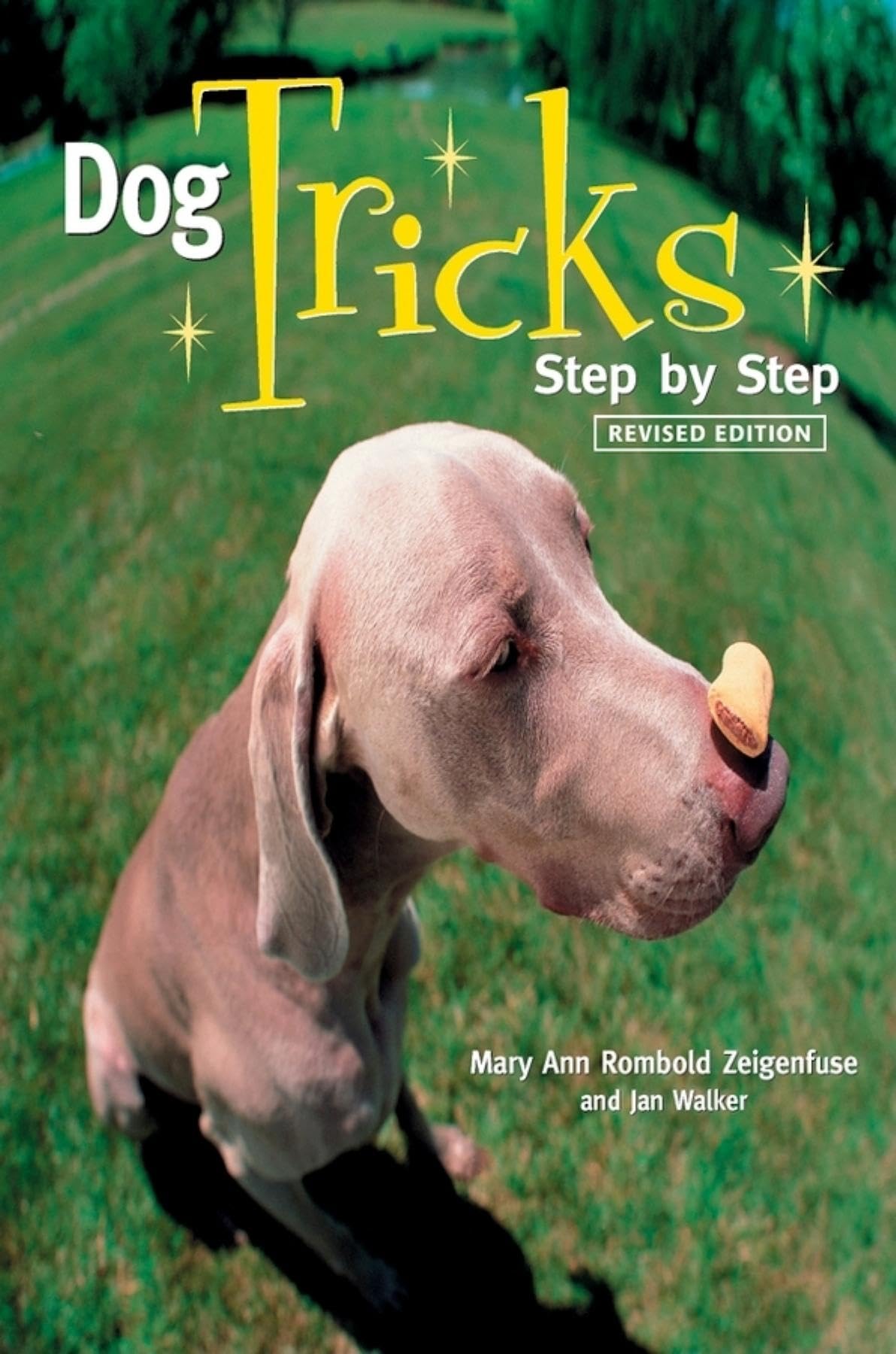Dog Tricks: Step By Step