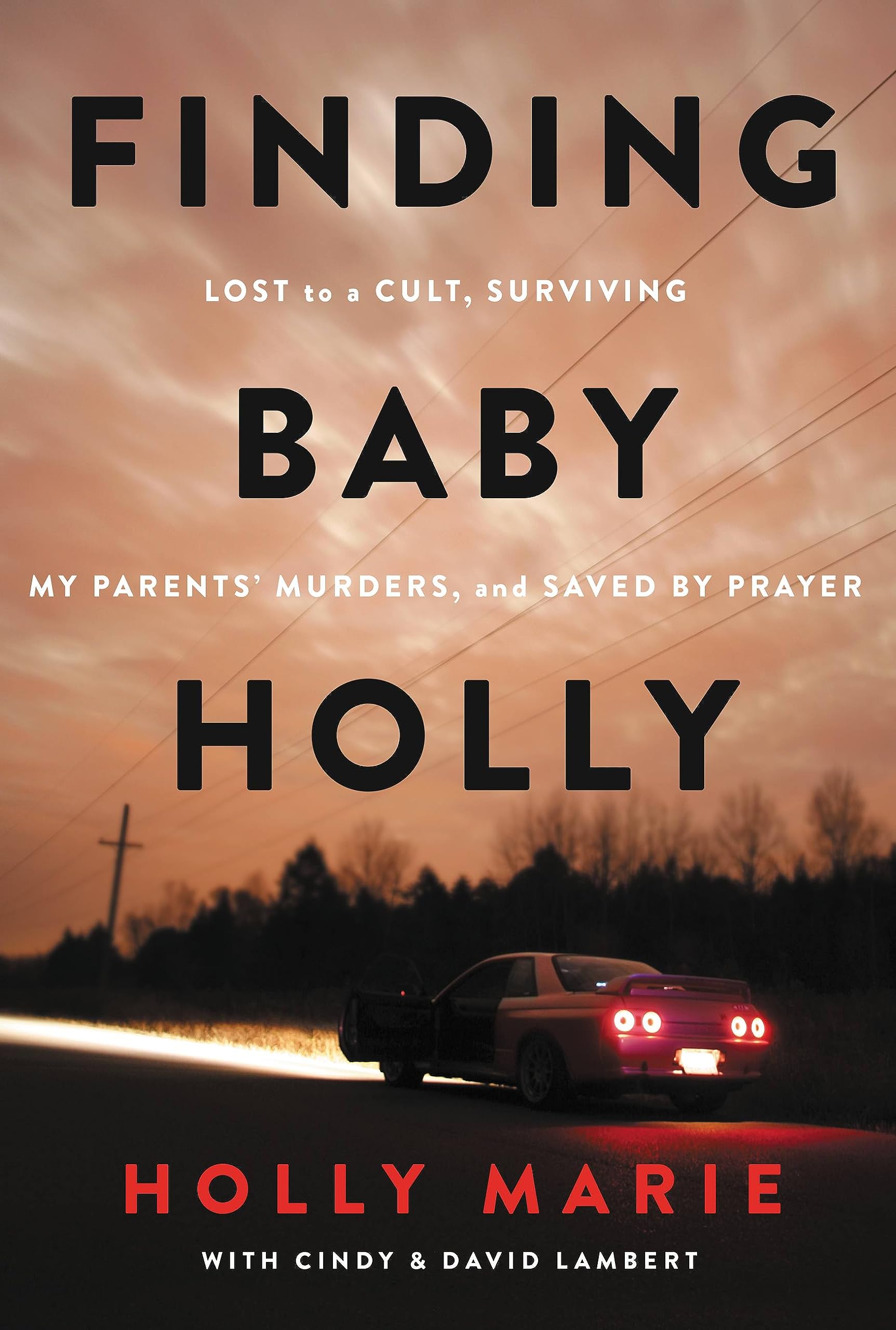 Finding Baby Holly: Lost To A Cult, Surviving My Parents' Murders, And Saved By Prayer,Used