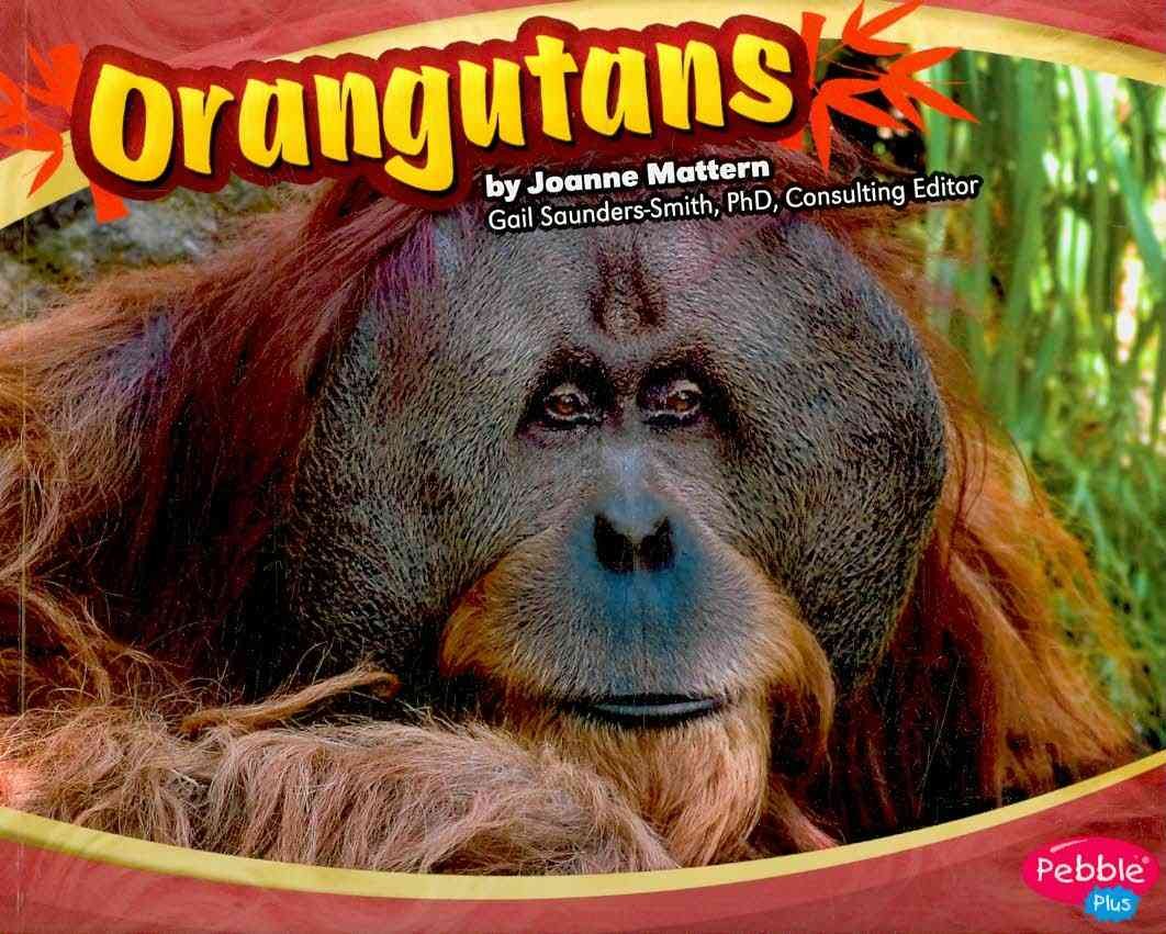 Orangutans (Pebble Plus: Asian Animals),Used