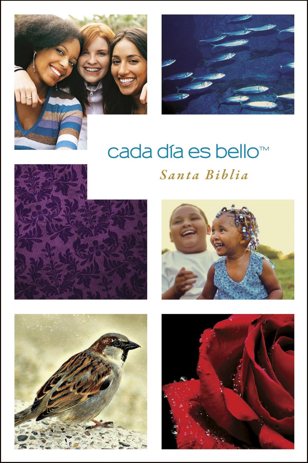 Cada da es bello, Santa Biblia NTV (Tapa rstica) (Spanish Edition),Used
