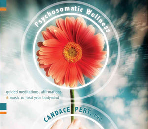 Psychosomatic Wellness: Guided Meditations, Affirmations, and Music to Heal Your Bodymind,Used