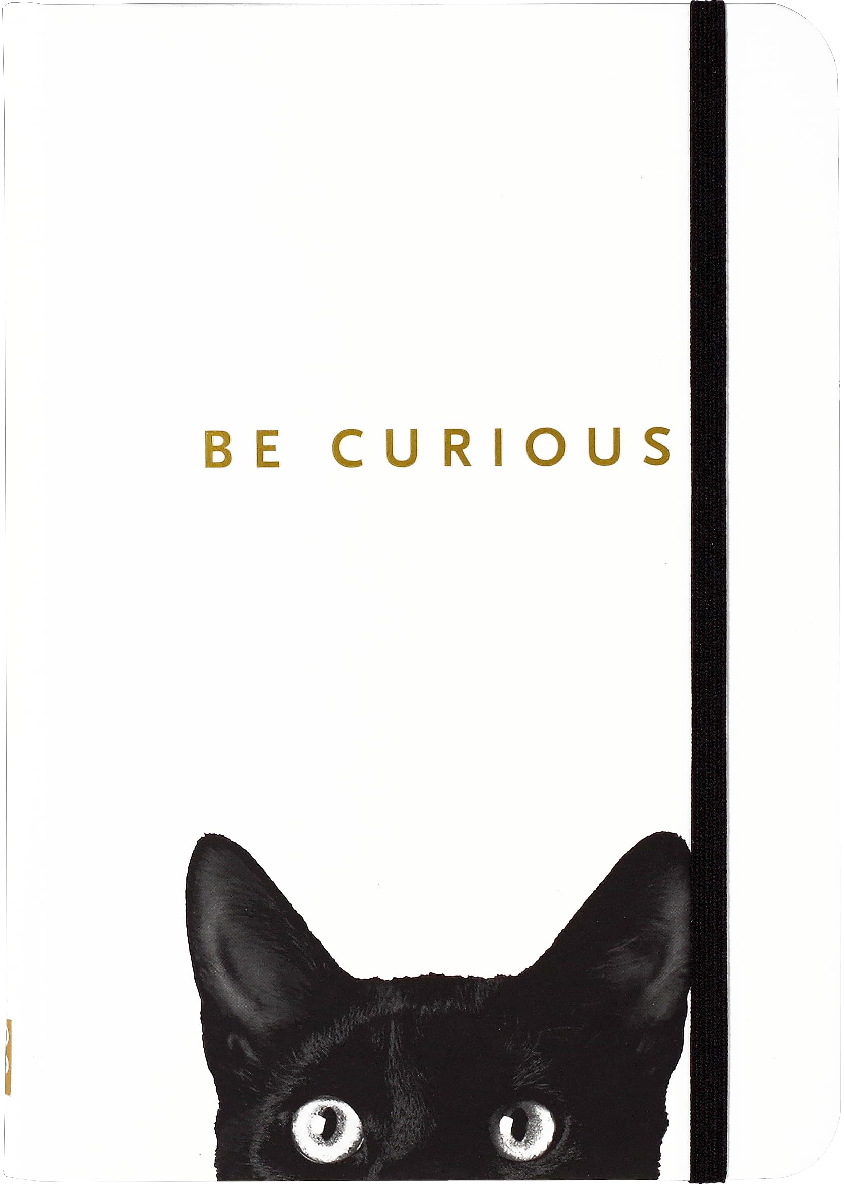 Curious Cat Journal (Diary, Notebook),Used