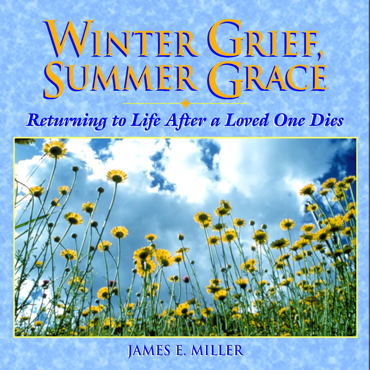 Winter Grief, Summer Grace: Returning To Life After A Loved One Dies (Willowgreen Series),Used