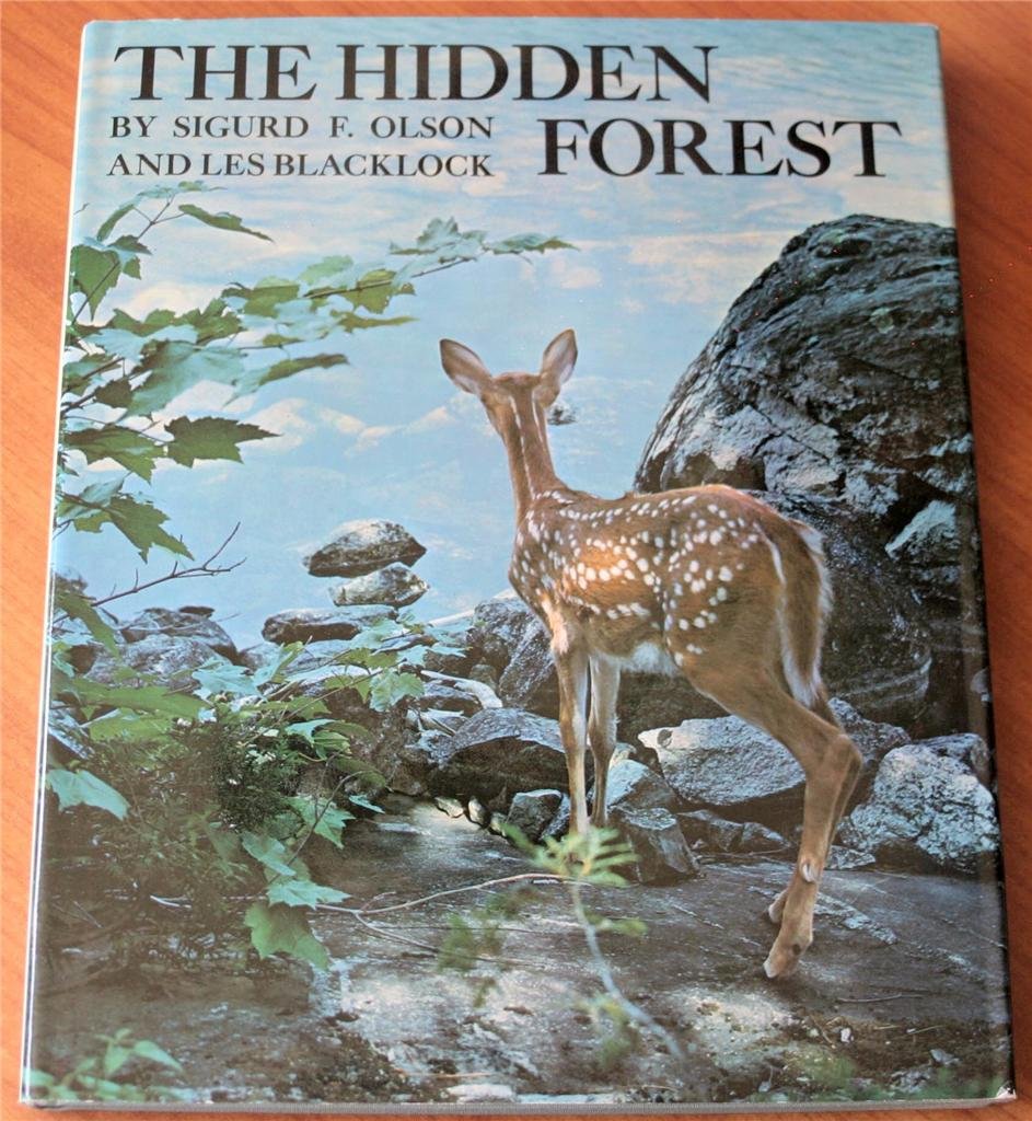 The Hidden Forest