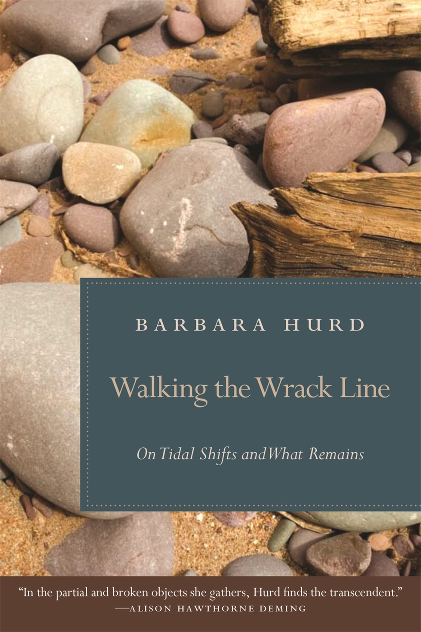 Walking The Wrack Line: On Tidal Shifts And What Remains,Used