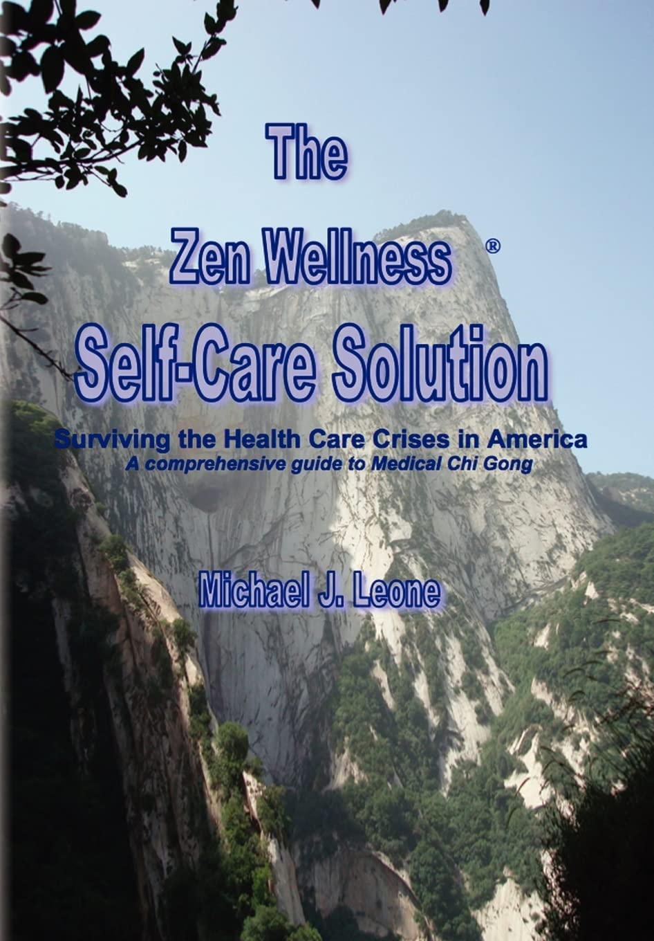 The Zen Wellness SelfCare Solution,Used