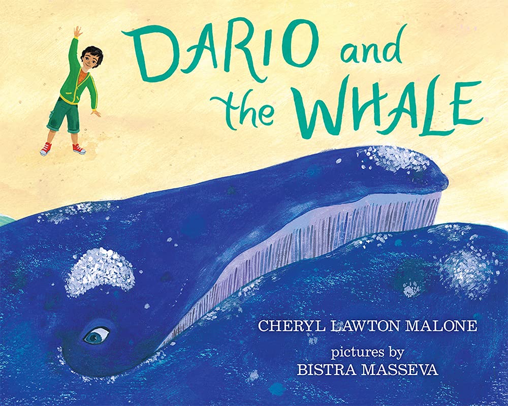 Dario And The Whale,Used