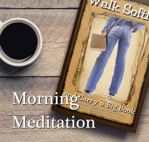 Walk Softly & Carry a Big Book (12 Step classic slogans, Higher Powered pages, history of Serenity Prayer, great oneliners from ,Used