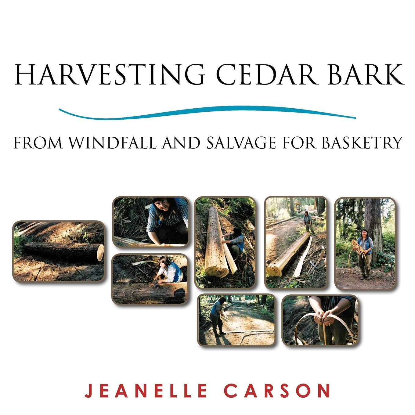 Harvesting Cedar Bark: From Windfall And Salvage For Basketry,Used