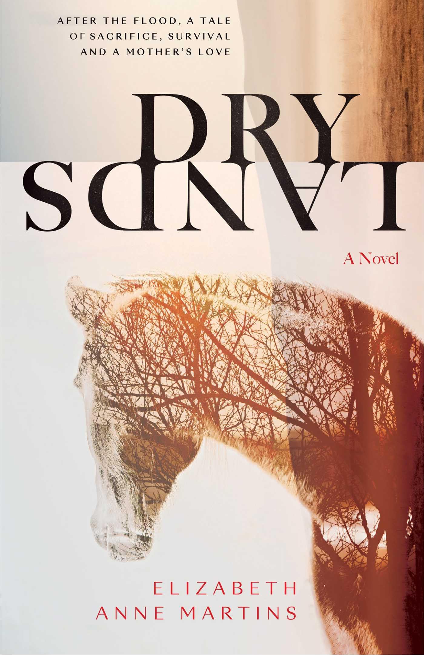 Dry Lands,New