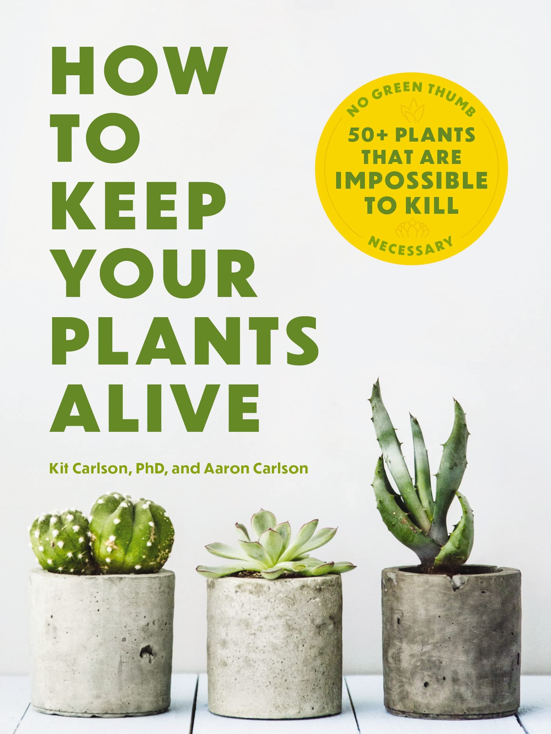 How To Keep Your Plants Alive: 50 Plants That Are Impossible To Kill,New