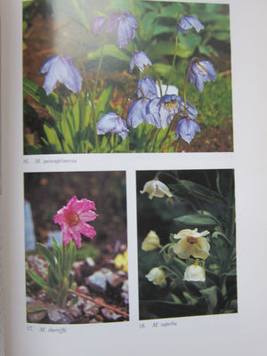 Meconopsis (Hardy Plant Series),Used