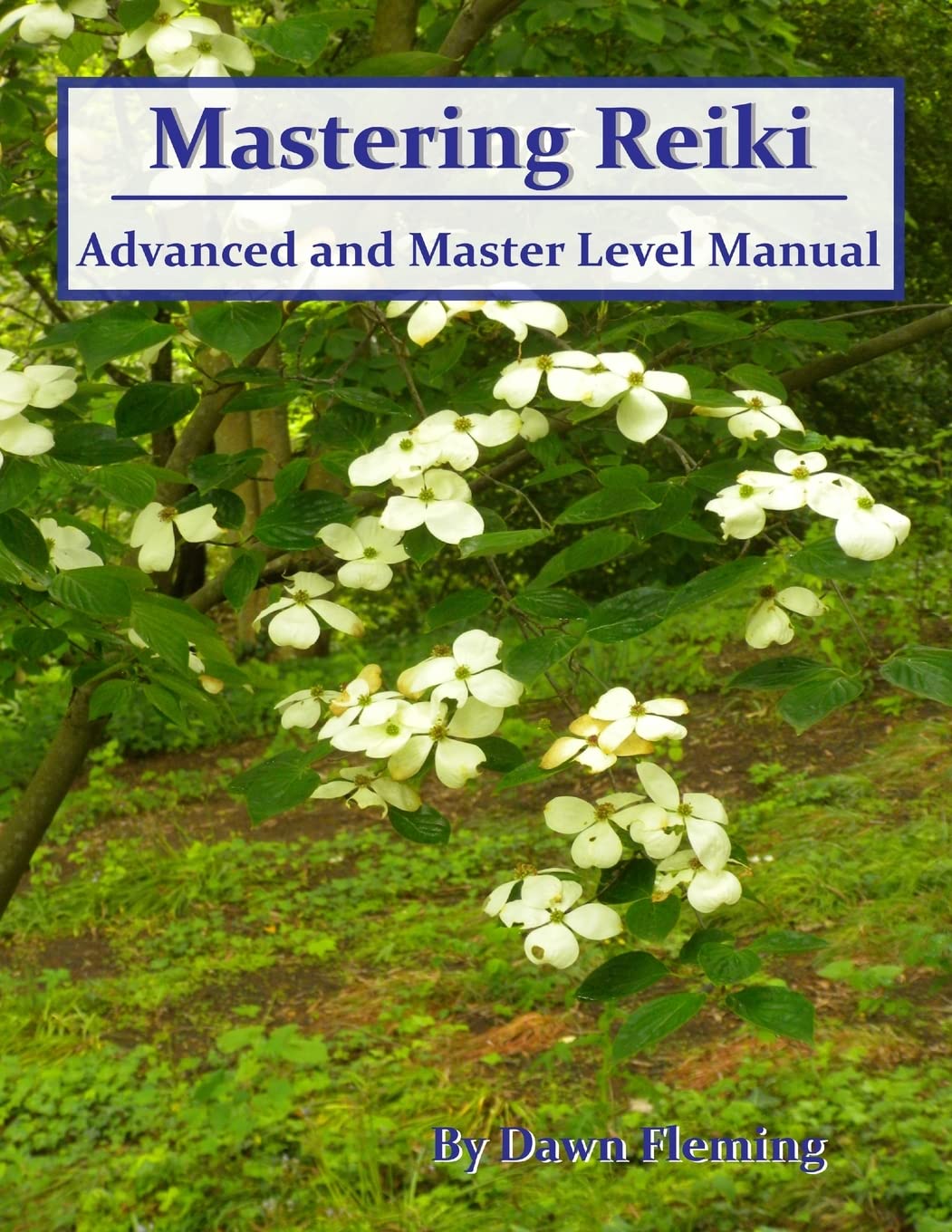 Mastering Reiki,New