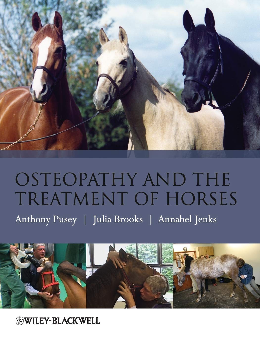 Osteopathy and the Treatment of Horses,Used