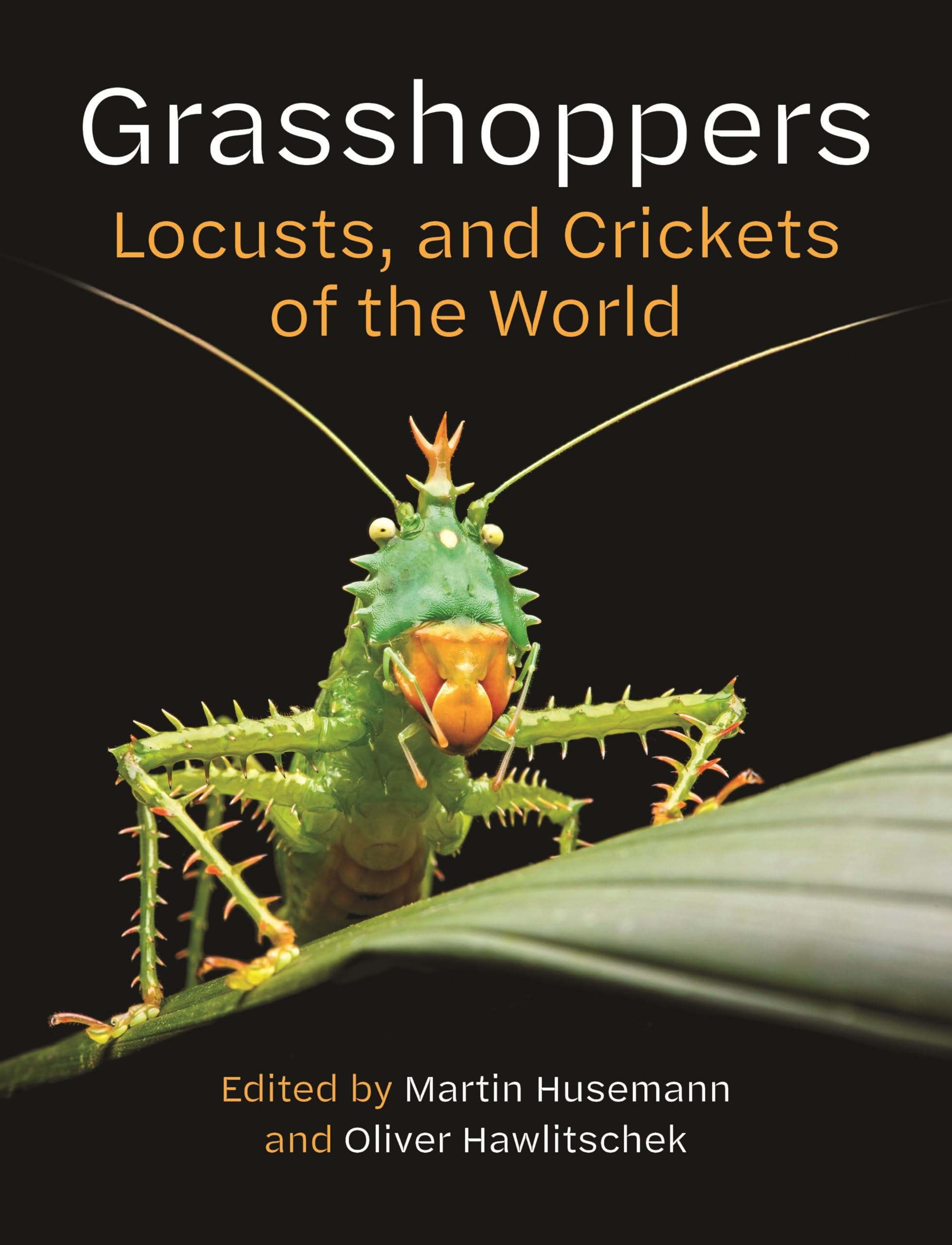 Grasshoppers, Locusts, And Crickets Of The World