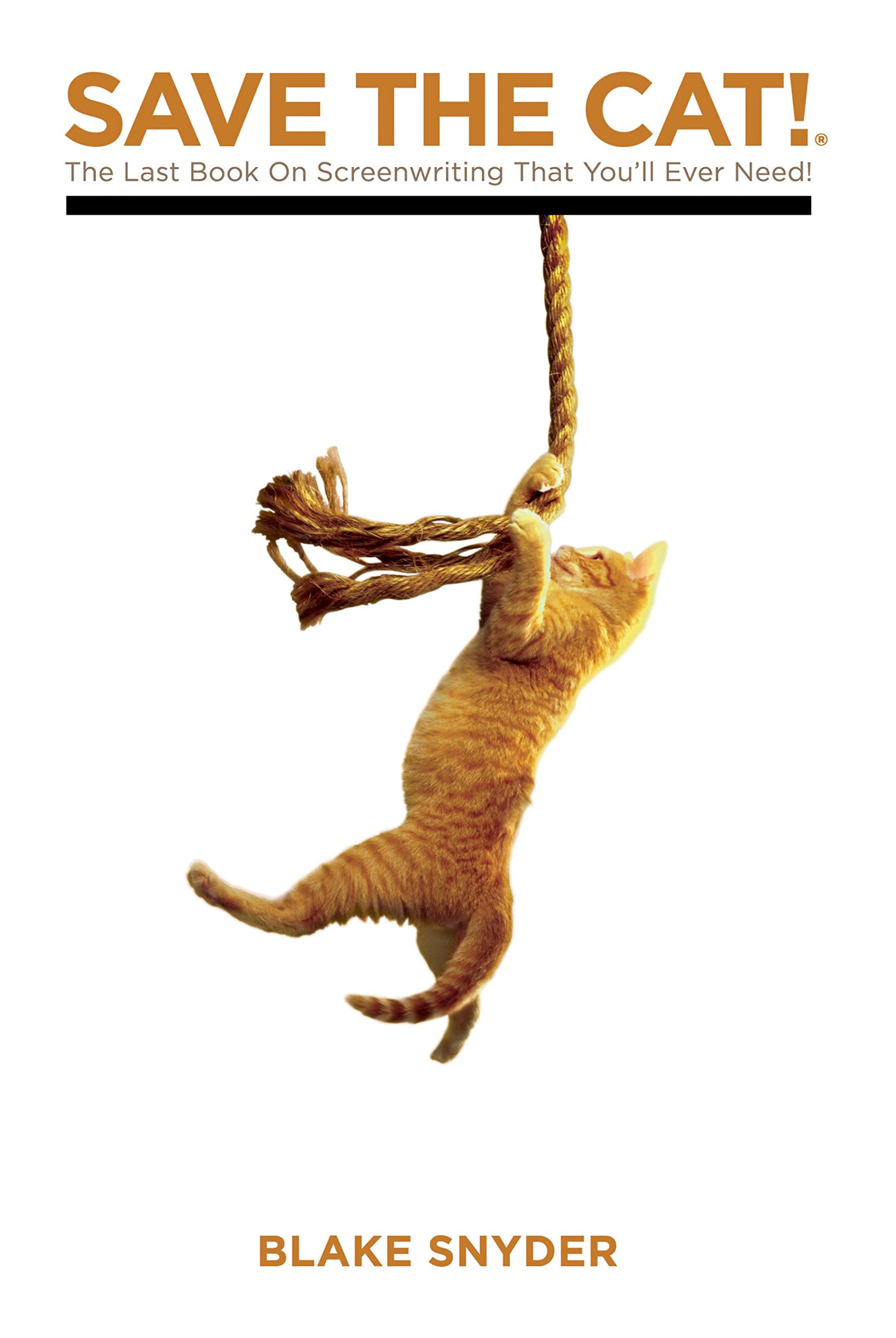 Save The Cat! The Last Book on Screenwriting You'll Ever Need,Used