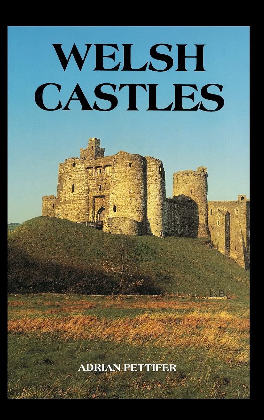 Welsh Castles: A Guide by Counties,Used