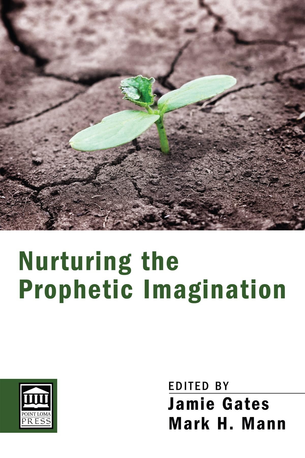 Nurturing The Prophetic Imagination (Point Loma Press),Used