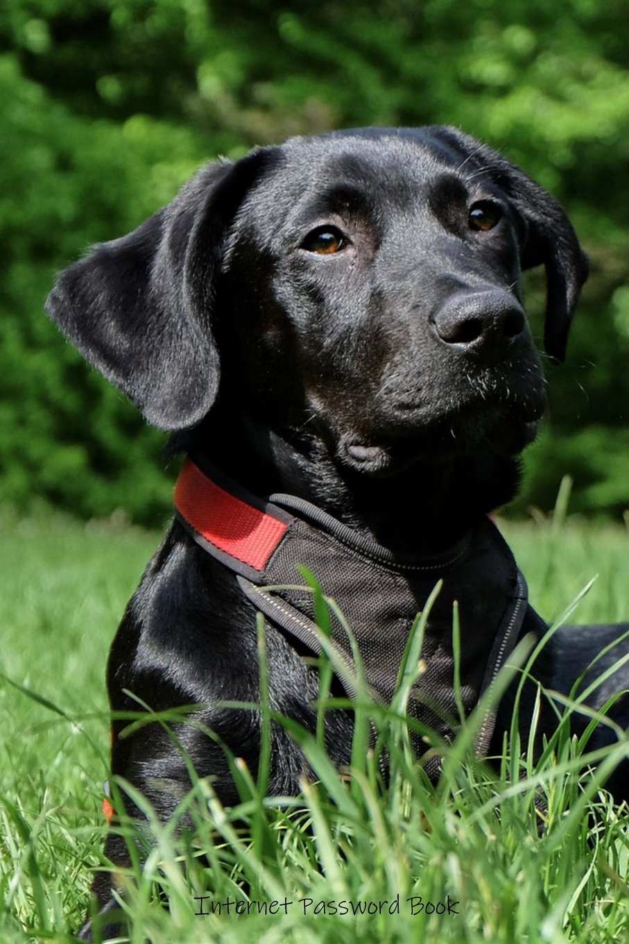 Internet Password Book: Labrador Retriever password book for women, men & kids. Featuring large print, emergency contacts, at a ,Used