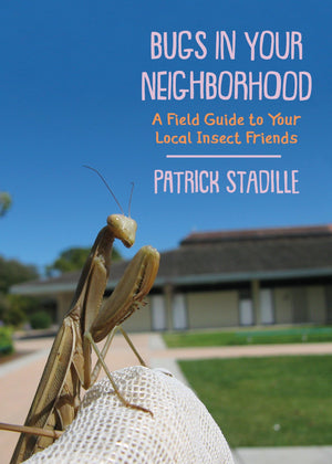 Bugs In Your Neighborhood: A Field Guide To Your Local Insect Friends
