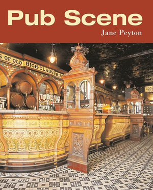 Pub Scene,Used