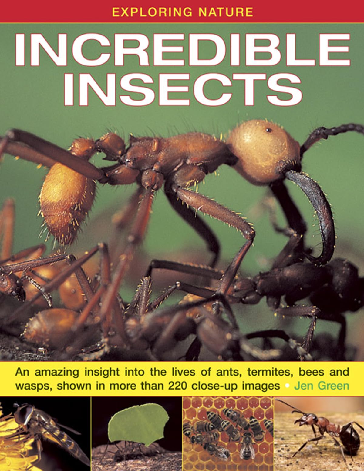Exploring Nature: Incredible Insects: An Amazing Insight Into the Lives of Ants, Termites, Bees and Wasps, Shown in More Than 22,Used