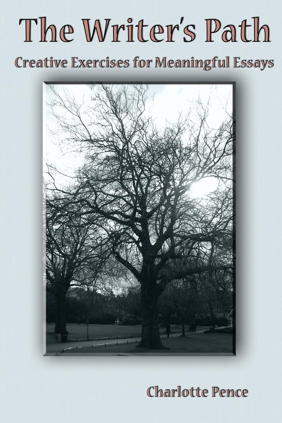 THE WRITER'S PATH: CREATIVE EXERCISES FOR MEANINGFUL ESSAYS,Used