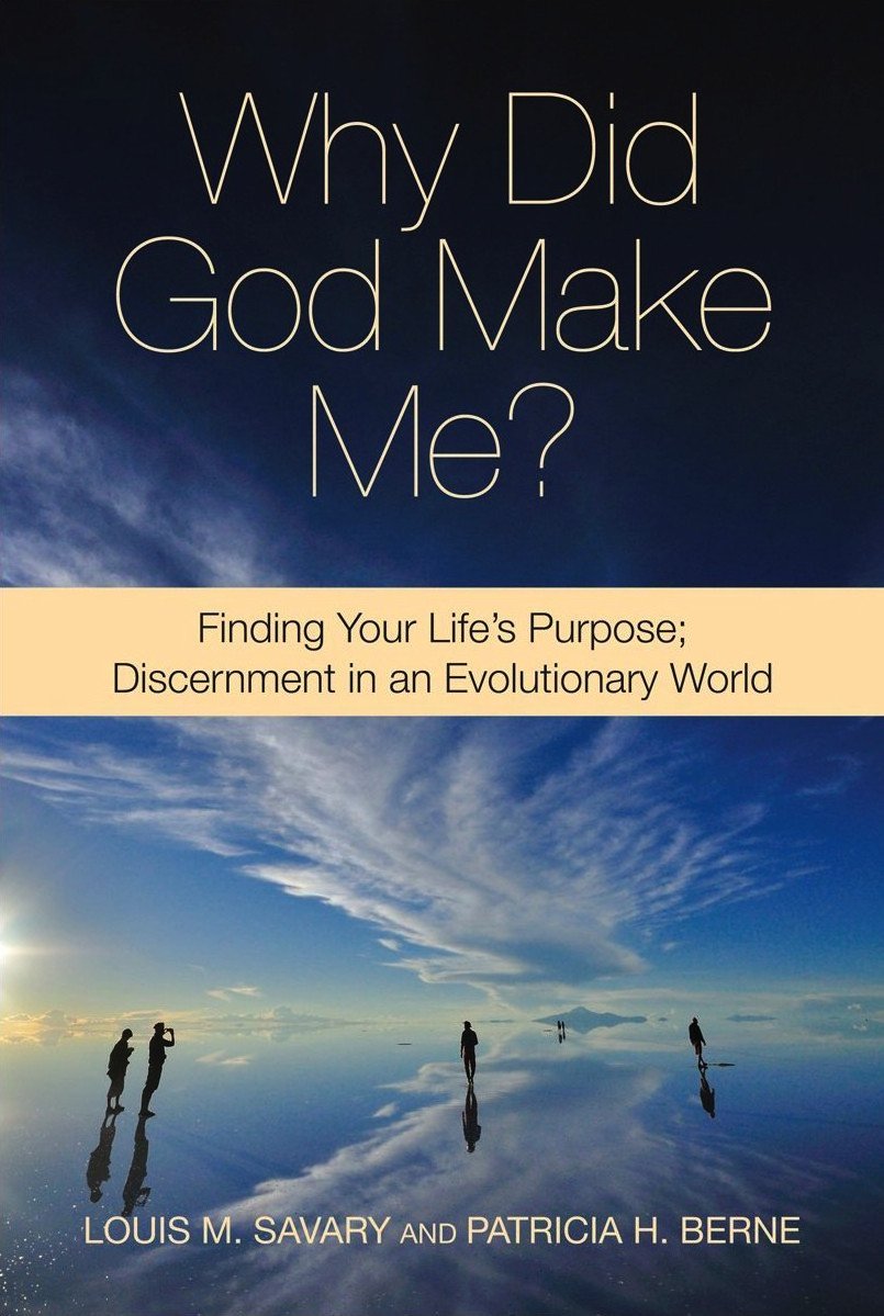 Why Did God Make Me?: Finding Your Life'S Purpose; Discernment In An Evolutionary World,Used