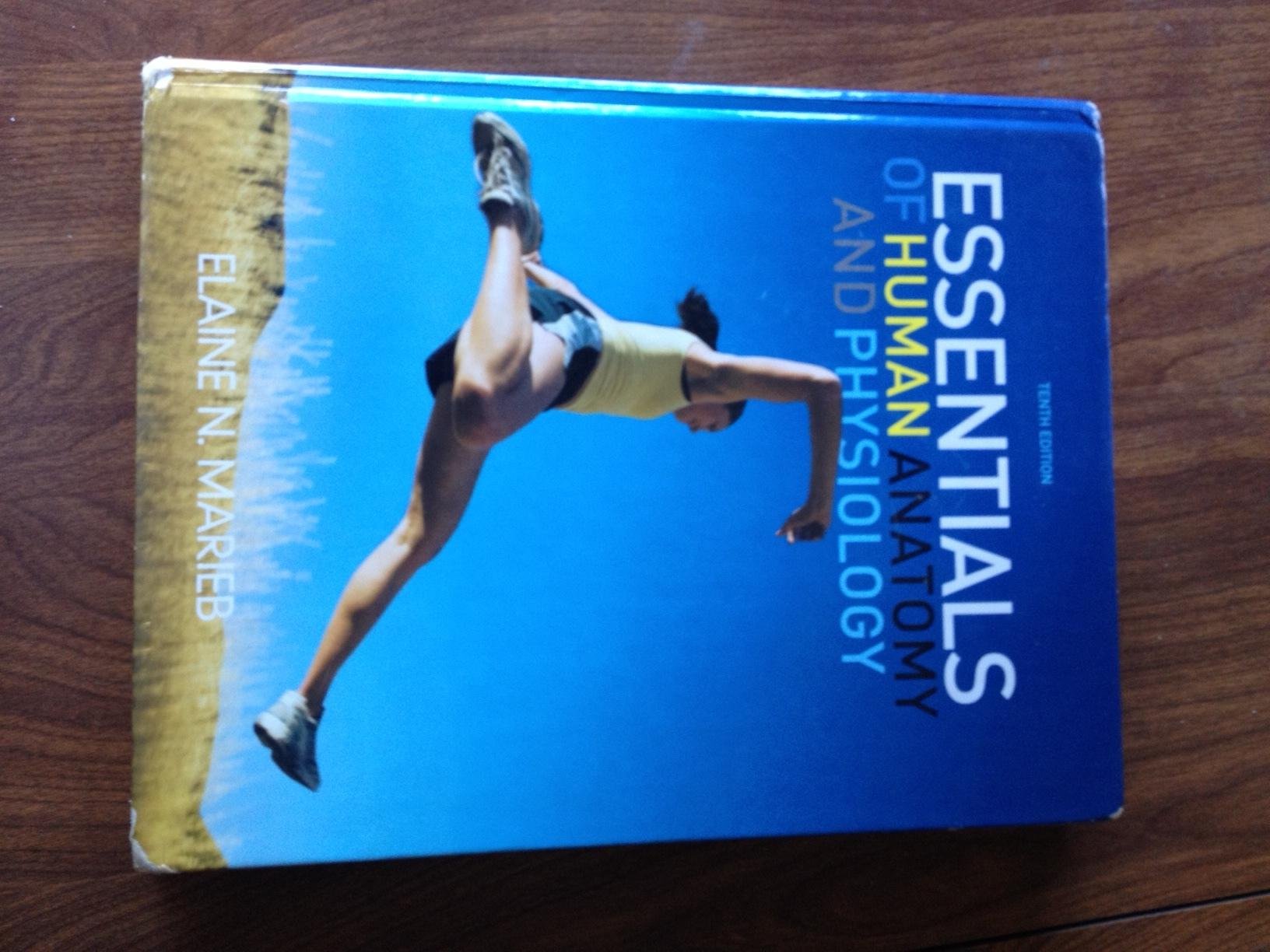 Essentials Of Human Anatomy And Physiology,New