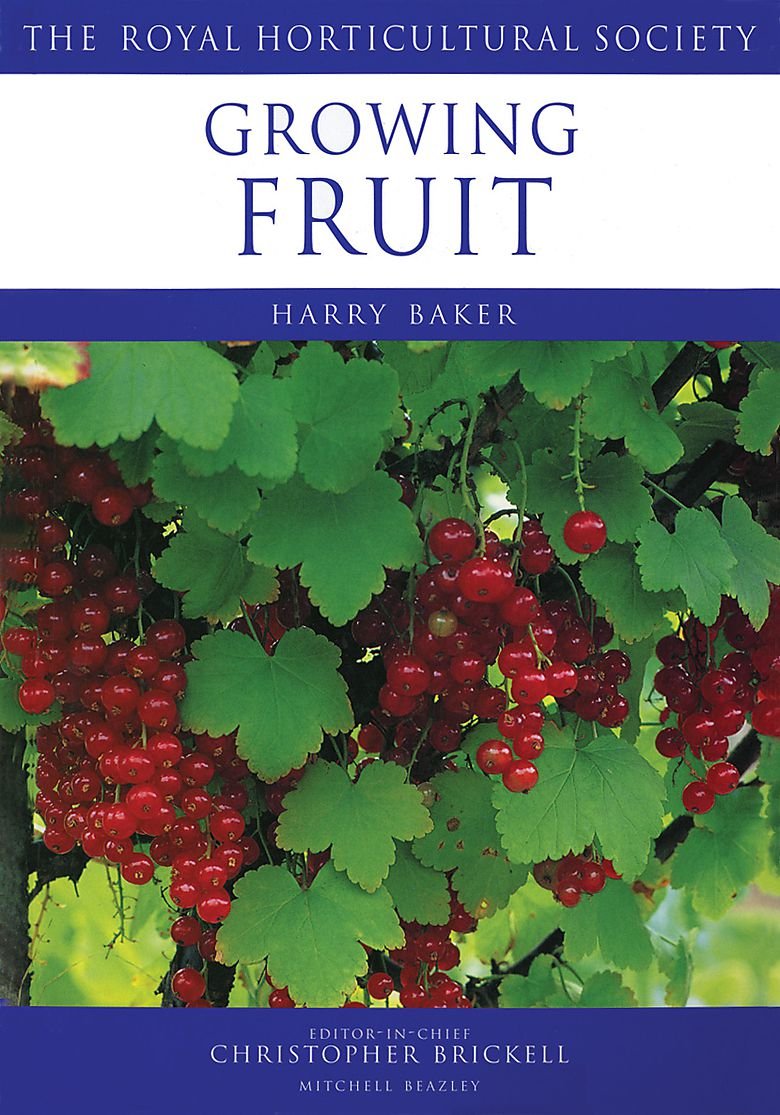 Growing Fruit (RHS Encyclopedia of Practical Gardening),Used